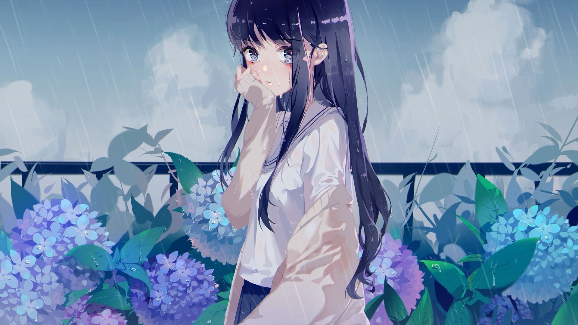 内容图片
